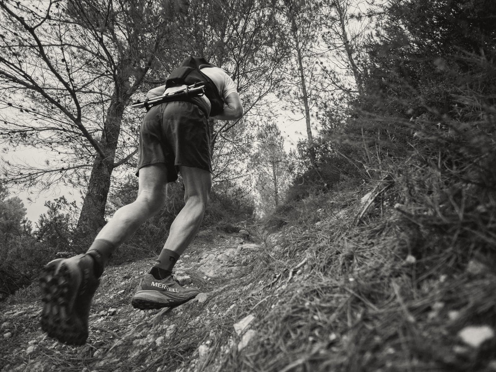 Jordi Estruch sube por un sendero de bosque.